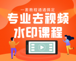 专业去视频水印教程 静态水印、动态水印、文字水印、图片水印一套教程通通搞定-优品网赚资源库