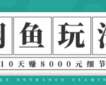 龟课·闲鱼项目玩法实战班第12期，操作10天左右利润有8000元细节玩法-优品网赚资源库