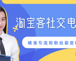 某站内部课程：淘宝客社交电商裂变，精准引流和粉丝裂变模式详解（共6节视频）-优品网赚资源库