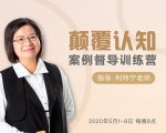 颠覆认知，案例督导训练营：打破旧模式 引领新思维-优品网赚资源库