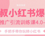 狼叔小红书爆款推广引流训练课4.0,手把手带你玩转小红书-优品网赚资源库