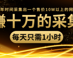 年赚十万的采集站，每天却只需要1小时，一年时间采集出一个售价10W以上的网站-优品网赚资源库