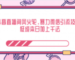 抖音直播间风火轮，暴力微信引流技术，低成本日加上千法-优品网赚资源库