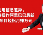 利用信息差异,零投资操作阿里巴巴最新管道项目轻松月赚10000+-优品网赚资源库