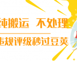 抖音纯搬运 不处理 小技巧，30秒发一个作品，避免违规评级秒过豆荚-优品网赚资源库