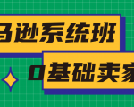 亚马逊系统班,专为0基础卖家量身打造,亚马逊运营流程与架构-优品网赚资源库