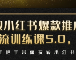 小红书爆款推广引流训练课5.0，手把手带你玩转小红书（17节实操视频+话术）-优品网赚资源库