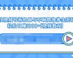 视频号新机制与不刷赞撸养生茶玩法,轻松日赚1000+-优品网赚资源库
