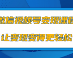 微信视频号变现项目,0粉丝冷启动项目和十三种变现方式-优品网赚资源库