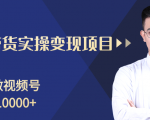柚子分享课:微信视频号变现攻略,新手零基础轻松日赚千元-优品网赚资源库