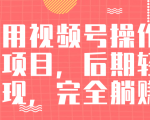 视频号操作书单变现项目，后期轻松变现，完全躺赚日入300至500元-优品网赚资源库