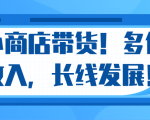 微信小商店带货，爆单多倍收入，长期复利循环！日赚300-800元不等-优品网赚资源库
