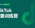 2020最新TikTok流量增长训练营(完结)附PPT-优品网赚资源库