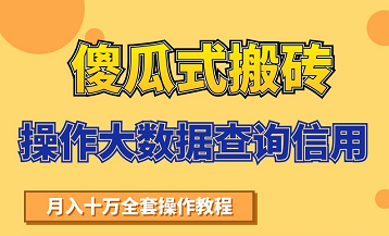 搬砖操作大数据查询信用项目赚钱教程,祝你快速月入6万-优品网赚资源库