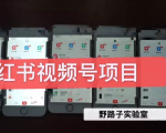 野路子小红书视频号1.0项目，直接上手操作就能赚钱的视频号项目-优品网赚资源库