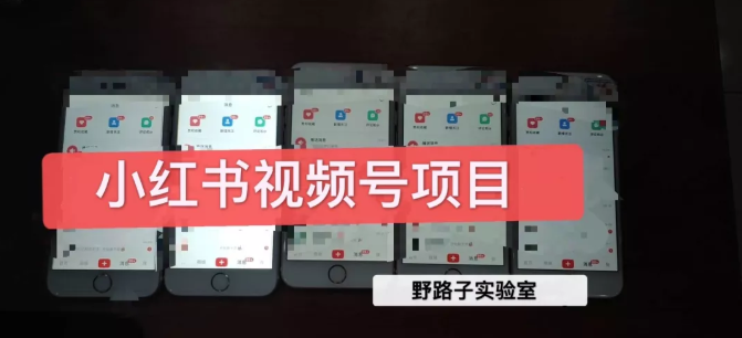 野路子小红书视频号1.0项目，直接上手操作就能赚钱的视频号项目-优品网赚资源库