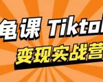 龟课·TikTok变现实战训练营线上第1期,多种变现模式,轻松赚美刀-优品网赚资源库