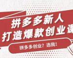 拼多多新人打造爆款创业课:快速引流持续出单,适用于所有新人-优品网赚资源库