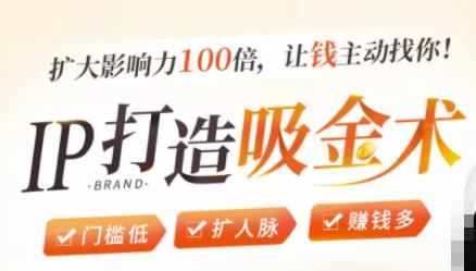 IP打造吸金术:0基础0资源,也能扩大影响力100倍,让钱主动找你!-优品网赚资源库