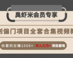 暴利偏门项目全套合集视频教程：你要的日赚1000+月入几万+项目都有-优品网赚资源库