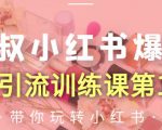 狼叔小红书爆款推广引流训练课第12期，手把手带你玩转小红书-优品网赚资源库