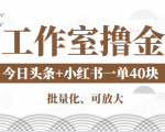 工作室撸金二件套:撸今日头条原创收益+小红书一单利润40块项目-优品网赚资源库