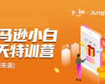 雨课·亚马逊小白特训营第9期 跨境电商挺赚钱的 有朋友已经月入几十万美金-优品网赚资源库