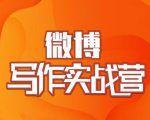 村西边老王·微博超级写作实战营,帮助你粉丝猛涨价值999元-优品网赚资源库