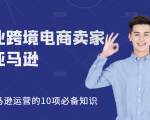 职业跨境电商卖家聊亚马逊:亚马逊运营的10项必备知识,12堂课让你看懂亚马逊运营-优品网赚资源库