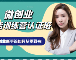 微创业全能训练营认证班课程,从理论知识与实际案例手把手指导创业新手如何从零到有-优品网赚资源库
