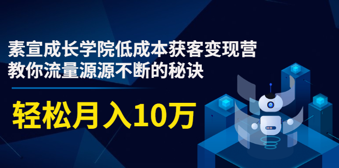素宣成长学院低成本获客变现营,教你流量源源不断的秘诀,轻松月入10万-优品网赚资源库