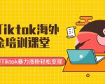 最新Tiktok海外掘金培训课堂:带你玩转Tiktok暴力涨粉轻松变现-优品网赚资源库