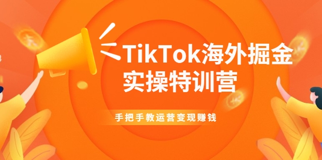 TikTok海外掘金实操特训营：手把手教运营变现赚钱-优品网赚资源库