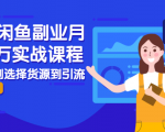 2021闲鱼副业月入过万实战课程：从开店到选择货源到引流，全程实战教学-优品网赚资源库