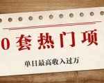 30套热门项目：单日最高收入过万 (网赚项目、朋友圈、涨粉套路、抖音、快手)等-优品网赚资源库