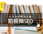 未来新趋势，布局短视频SEO，如何利用抖音SEO免费获得精准流量（3节课）-优品网赚资源库