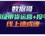 数据哥·超级带货运营+投手线上速成课，快速提升运营和熟悉学会投手技巧-优品网赚资源库