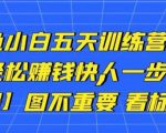 卓让闲鱼小白五天训练营，每天一小时，轻松赚钱快人一步-优品网赚资源库