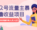 公众号流量主暴利撸收益项目，空闲时间操作单人月入过万-优品网赚资源库