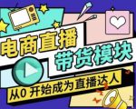 大鹏·电商直播带货课，系统学习直播带货各环节技巧和套路-优品网赚资源库