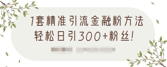 1套精准引流金融粉方法,轻松日引300+粉丝-优品网赚资源库
