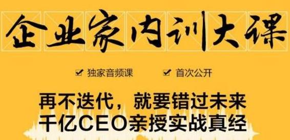 企业家内训大课,未来企业必学经验,价值1299元-优品网赚资源库