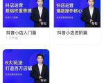 湛北·抖音小店入门进阶高阶合集，八大玩法打造百万店铺-优品网赚资源库