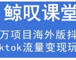 鲸叹号·海外TIKTOK训练营，百万项目海外版抖音tiktok流量变现玩法-优品网赚资源库