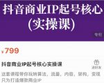 抖音商业IP起号核心实操课,带你玩转算法,流量,内容,架构,变现-优品网赚资源库