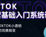 Tiktok实操进阶课程，体验从tiktok小透明到大佬的完美蜕变-优品网赚资源库