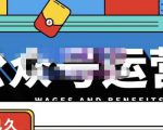 零零已久·从0-1运营公众号，零基础小白也能上手，系统性了解公众号运营-优品网赚资源库