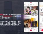 麦子互娱短视频带货·0基础做好物分享账号,无需出镜无需货源无需拍摄-优品网赚资源库