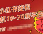 视频号小红书抖音挂机项目，小白无脑操作，按照要求来，单号每天几十米-优品网赚资源库