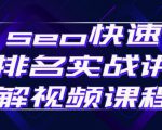 seo快速排名实战讲解视频课程,揭秘seo快排原理-优品网赚资源库